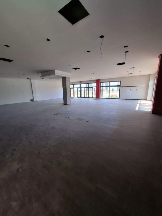 Attività - Image 20