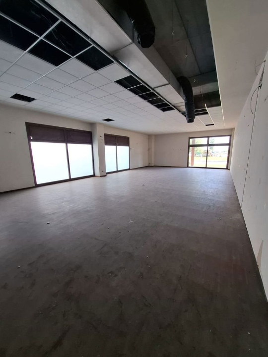 Attività - Image 11