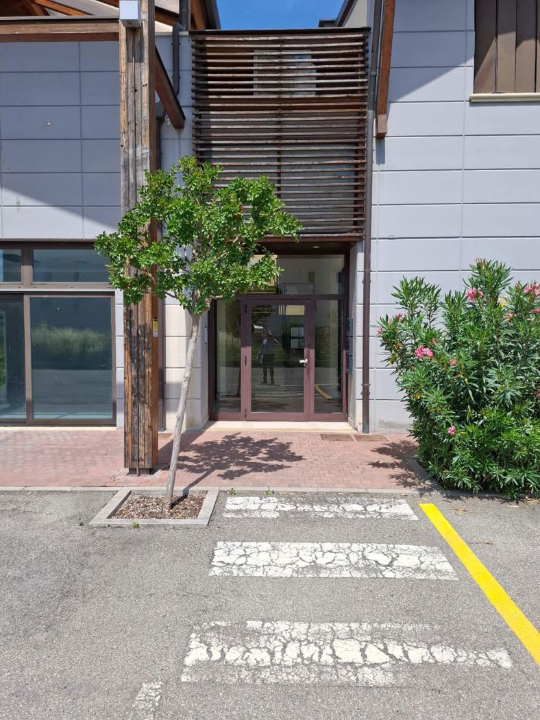 Attività - Image 37