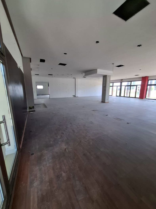 Attività - Image 19