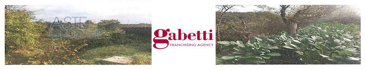 Complesso - Image 22