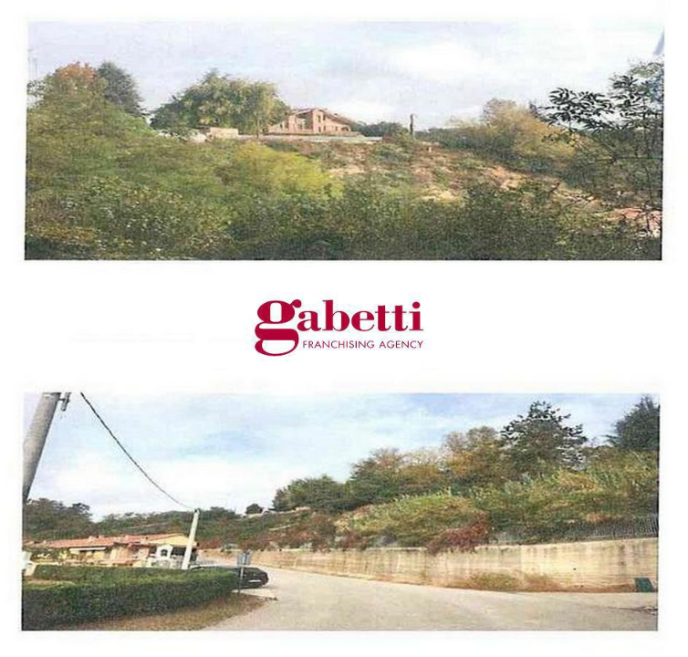 Complesso - Image 17