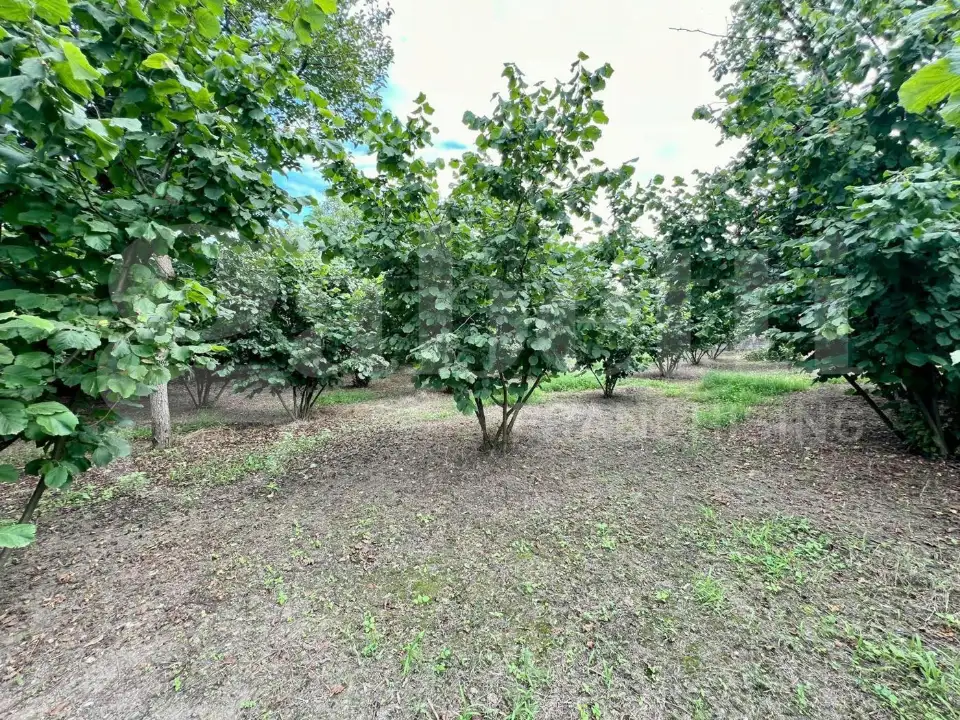 Casa Indipendente - Image 21