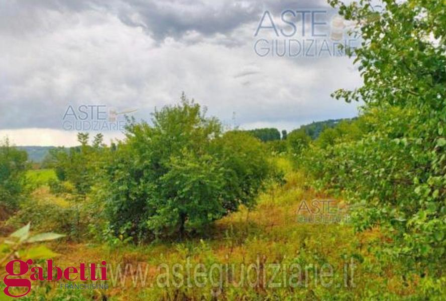 Casa Indipendente - Image 11