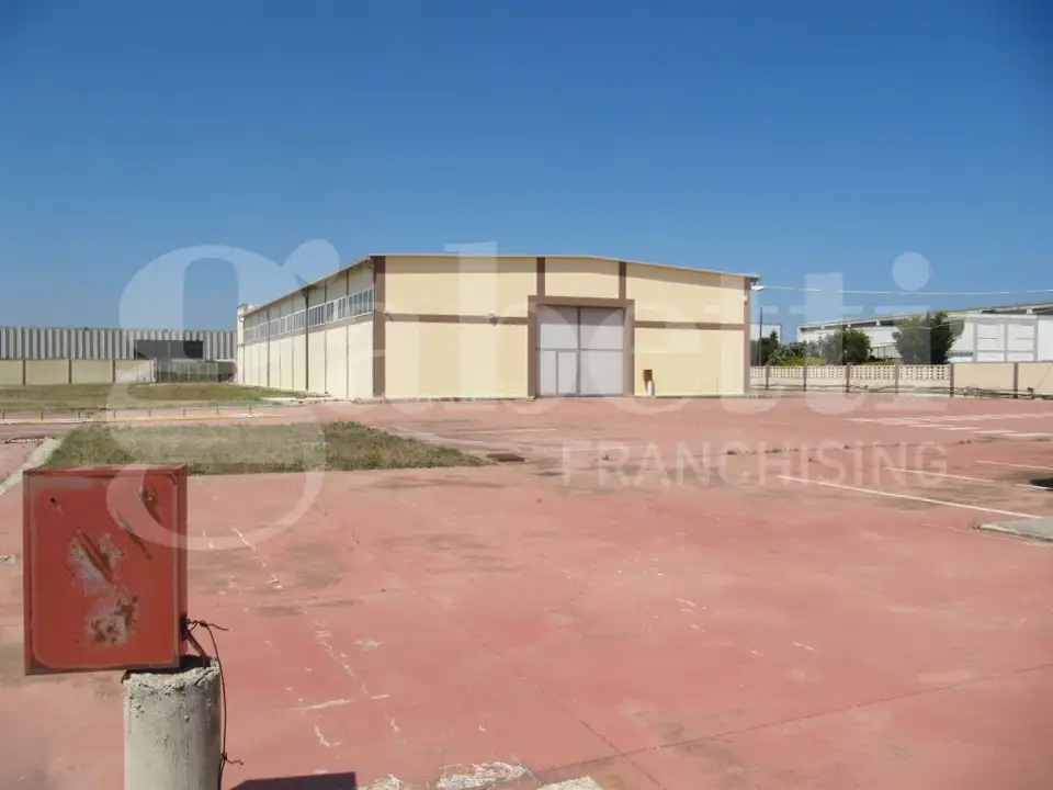 Capannone - Image 11