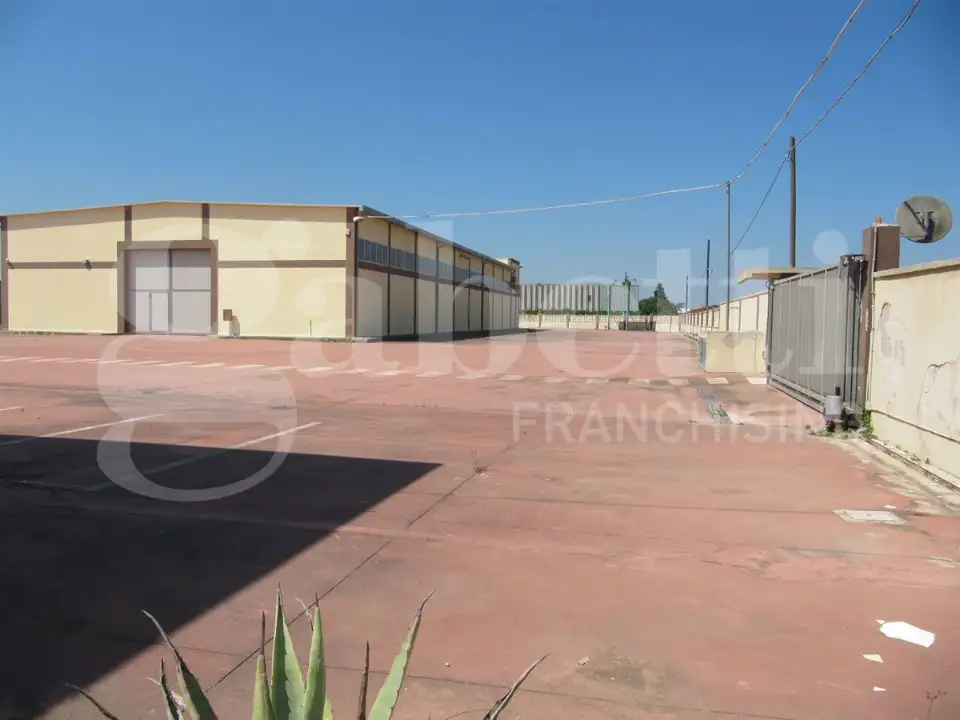 Capannone - Image 15