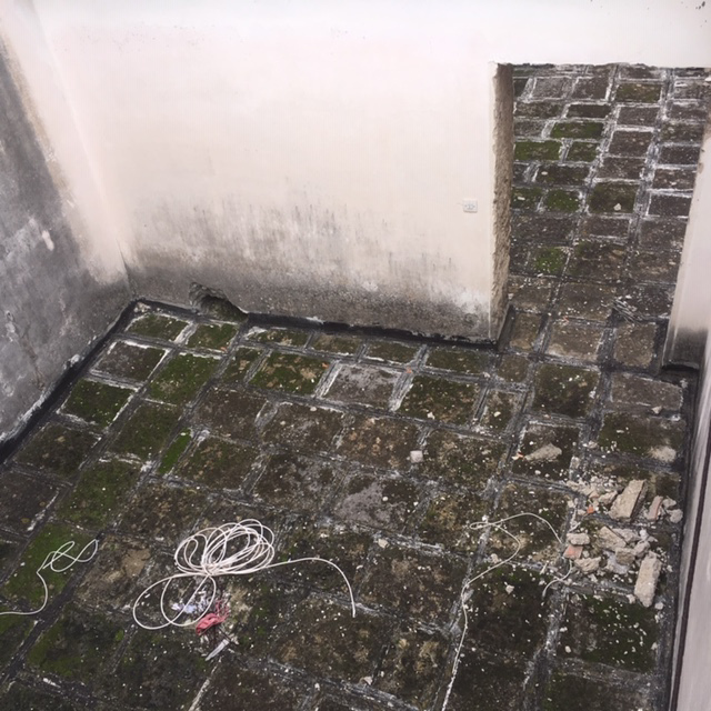 Casa Indipendente - Image 10