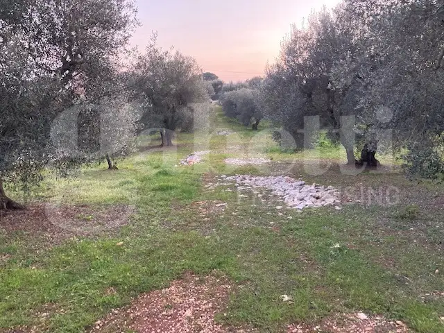 Casa Indipendente - Image 14