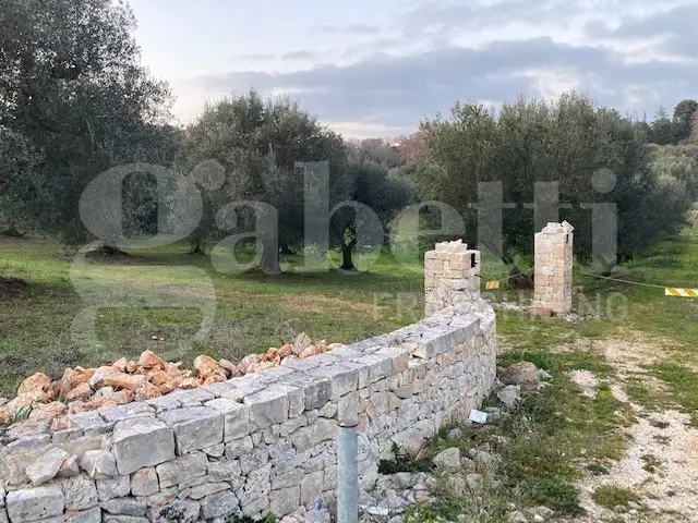 Casa Indipendente - Image 7