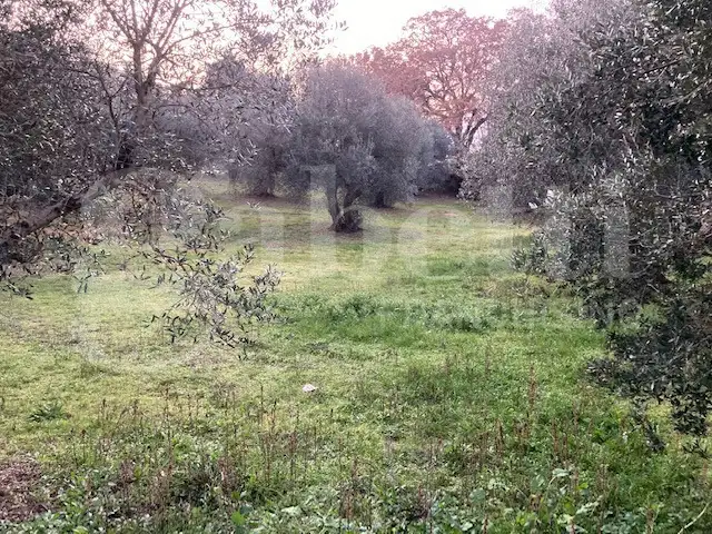 Casa Indipendente - Image 15