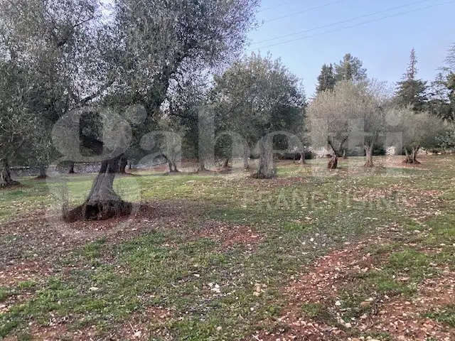 Casa Indipendente - Image 13