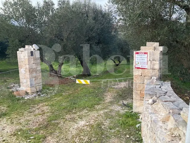 Casa Indipendente - Image 8