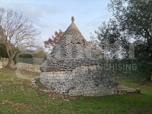 Casa Indipendente - Image 4