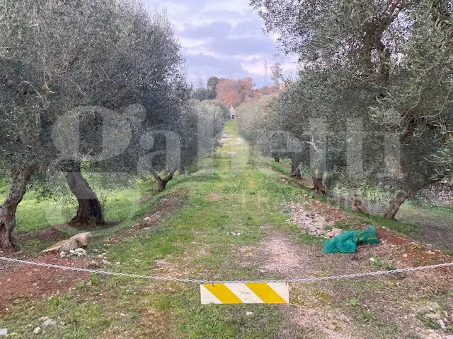 Casa Indipendente - Image 16