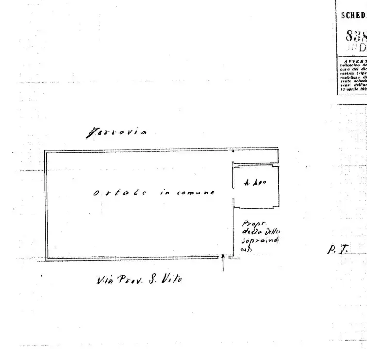 Complesso - Planimetry 1