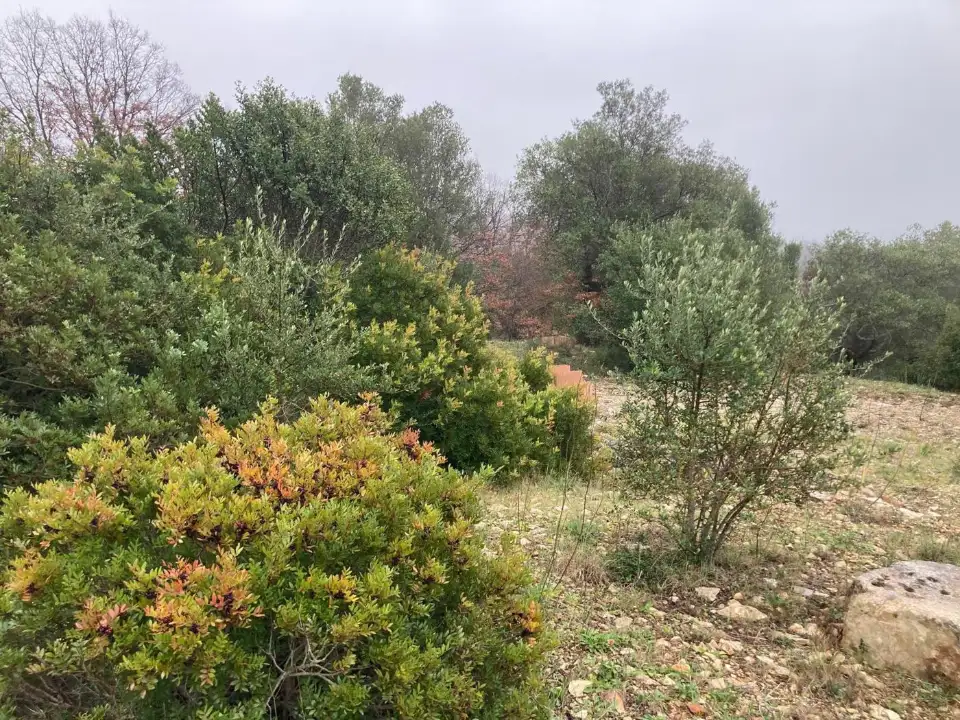 Casa Indipendente - Image 5