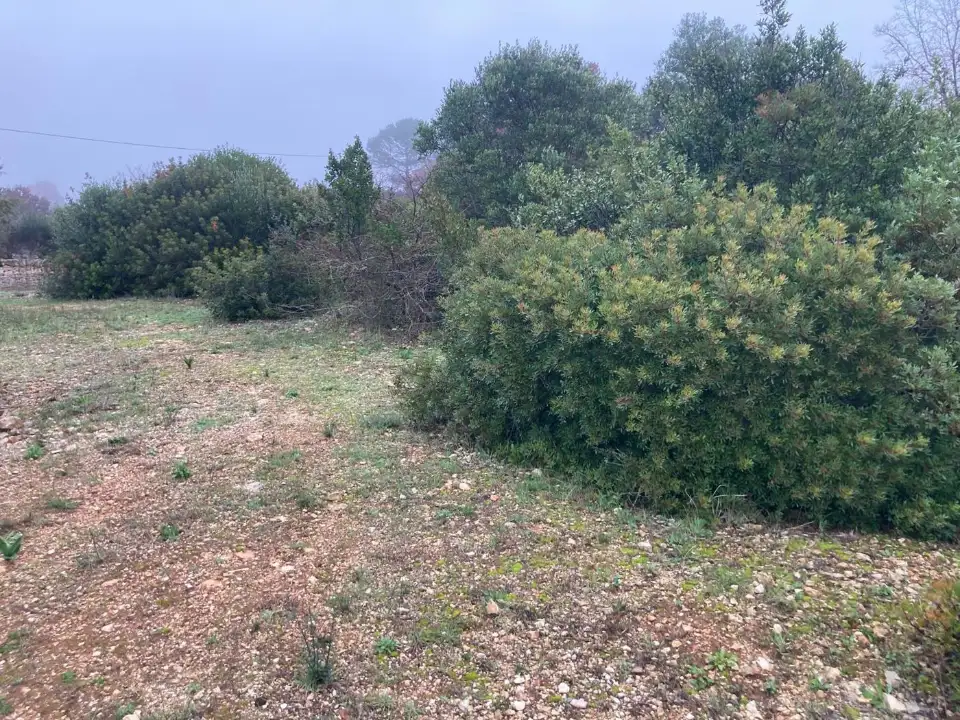 Casa Indipendente - Image 6