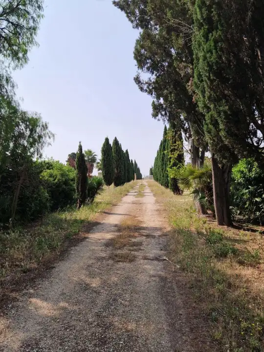 Appartamento - Image 5