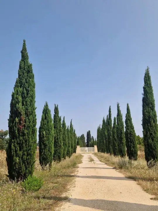 Appartamento - Image 3