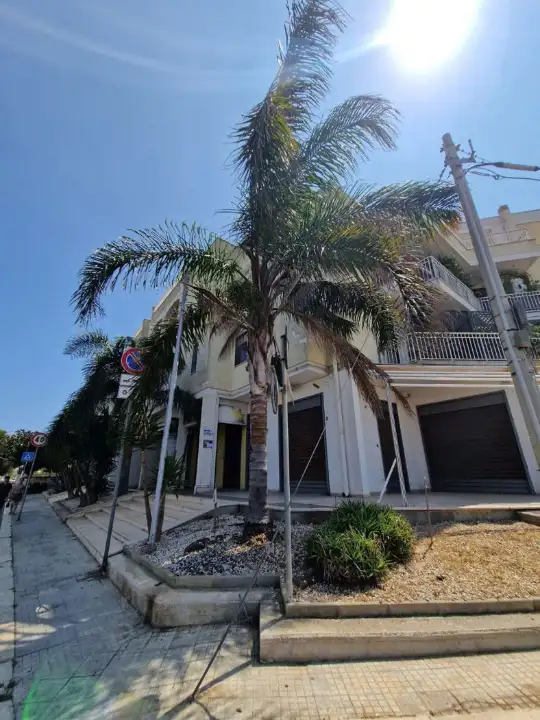 Appartamento - Image 4