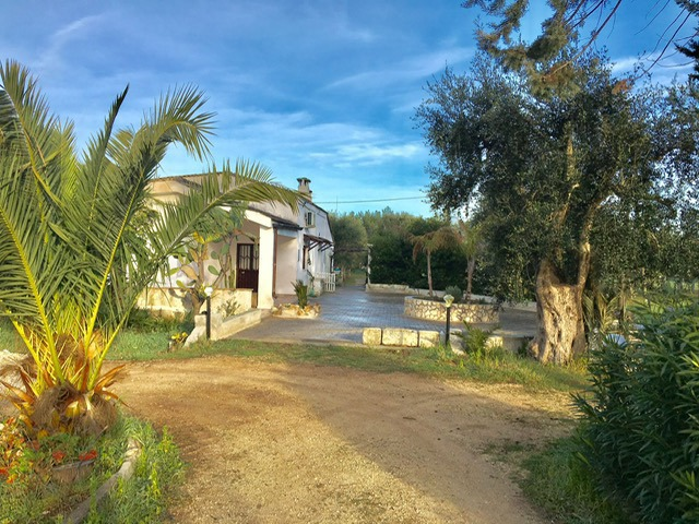 Appartamento - Image 3