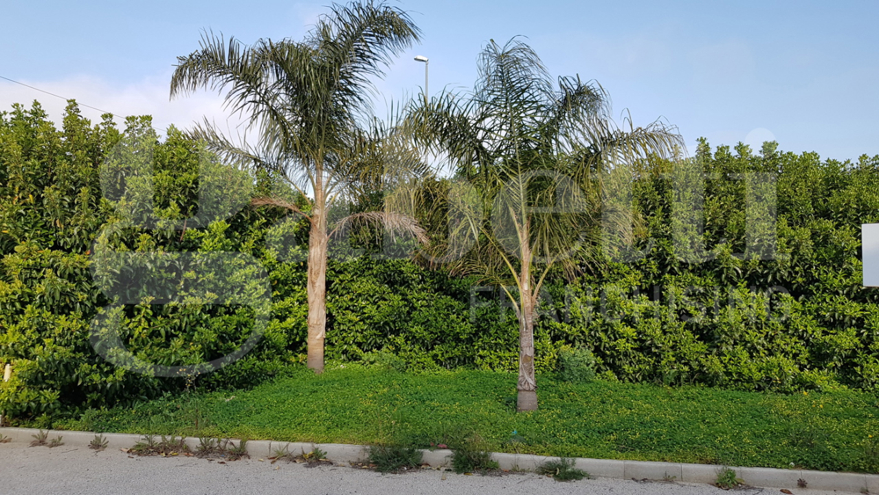 Laboratorio - Image 30