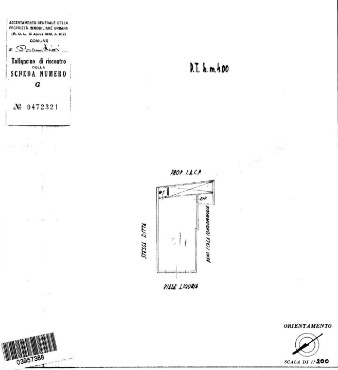 Negozio - Planimetry 1