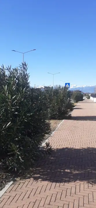 Appartamento - Image 9