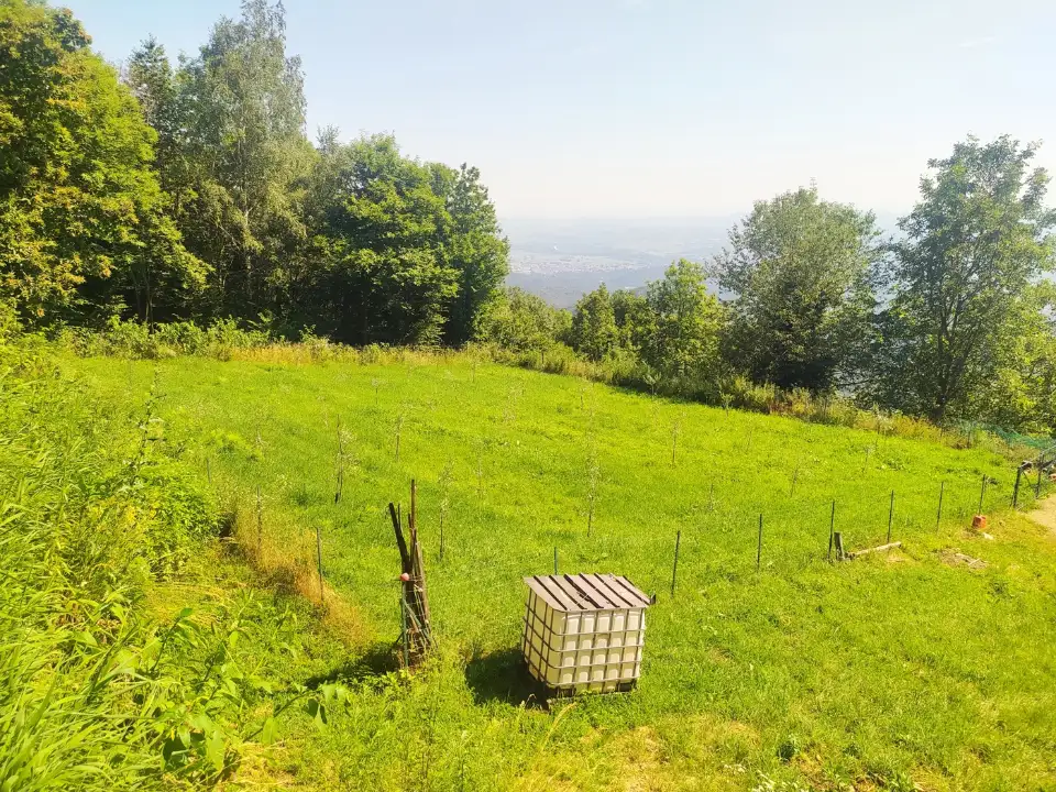 Casa Indipendente - Image 31