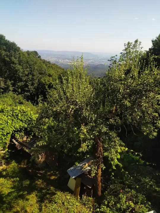 Casa Indipendente - Image 16