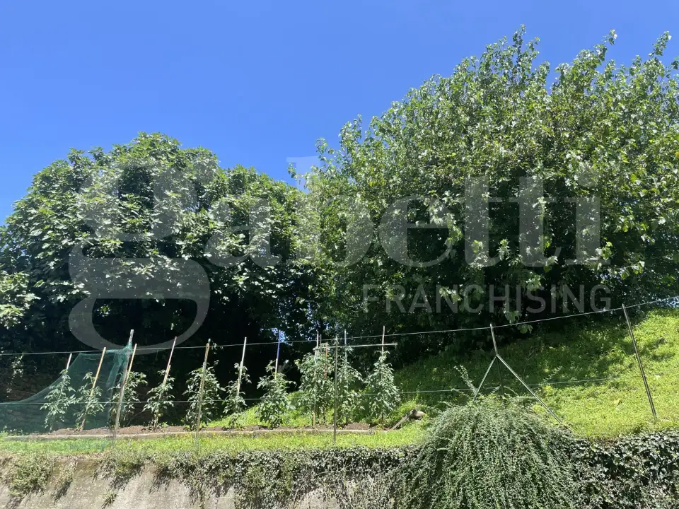 Appartamento - Image 8