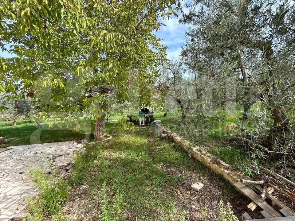 Casa Indipendente - Image 5