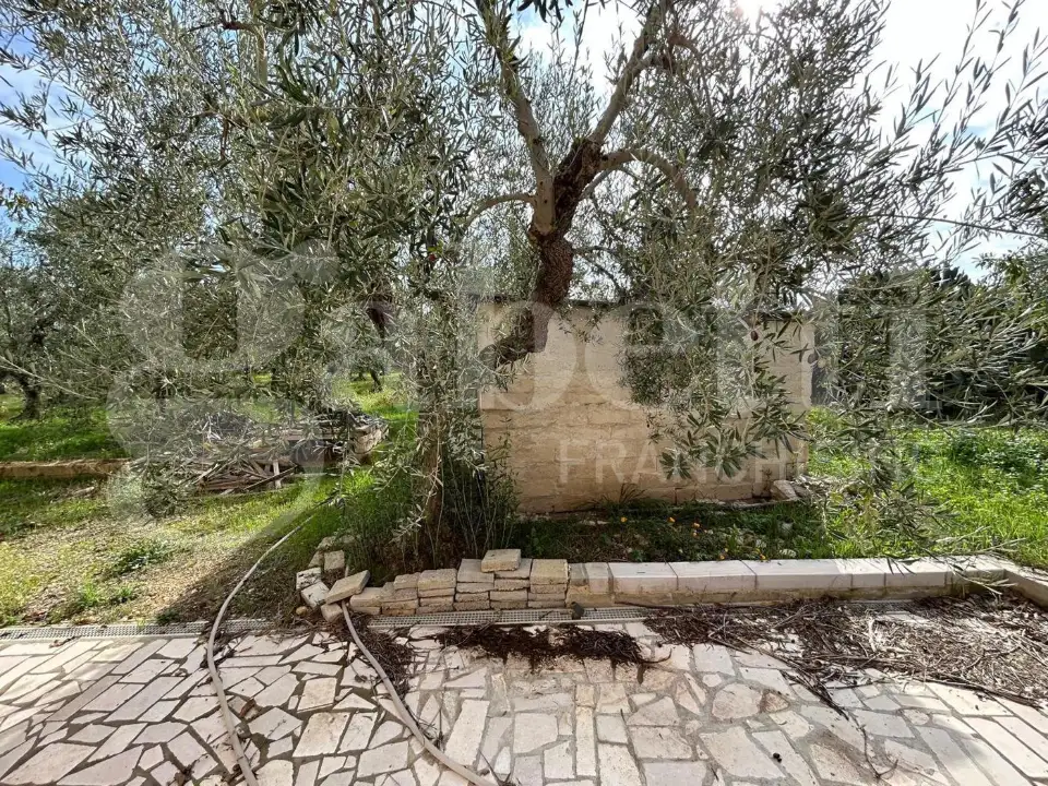 Casa Indipendente - Image 6