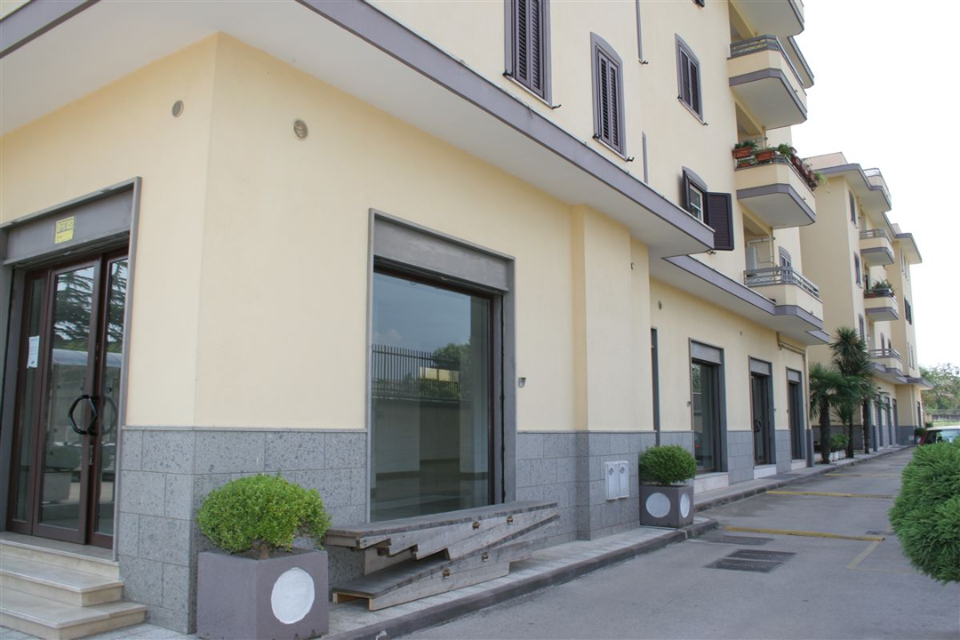 Negozio - Image 7