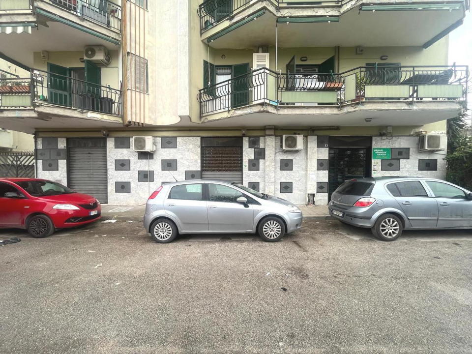 Laboratorio - Image 12