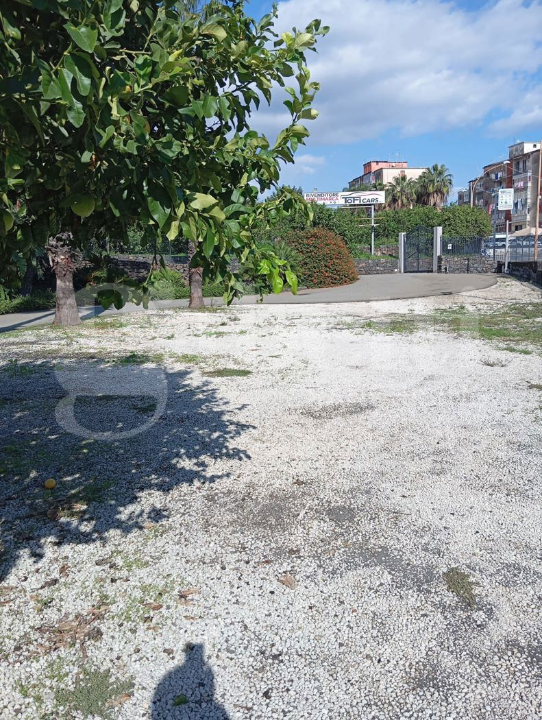 Complesso - Image 27