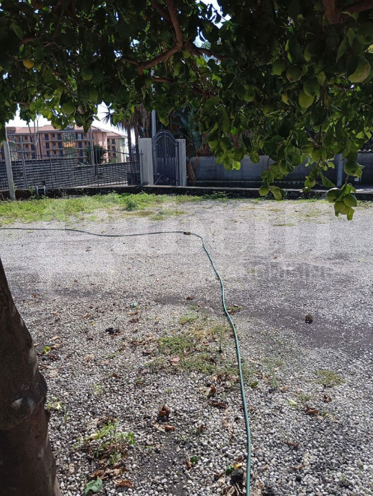 Complesso - Image 25