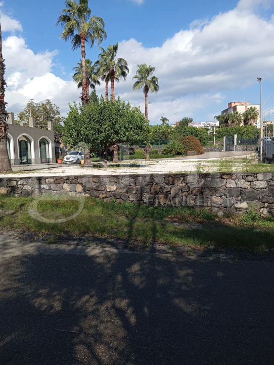 Complesso - Image 30