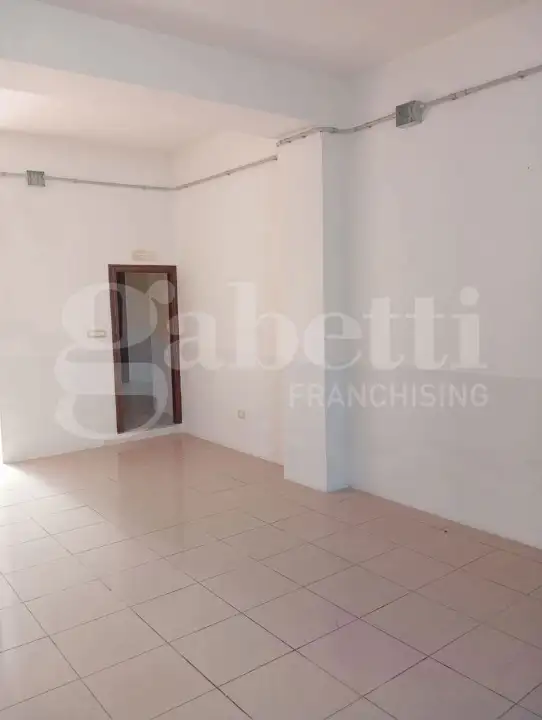 Magazzino - Image 14