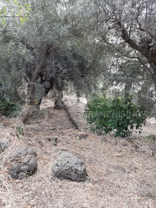 Casa Indipendente - Image 31