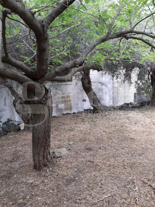 Casa Indipendente - Image 5