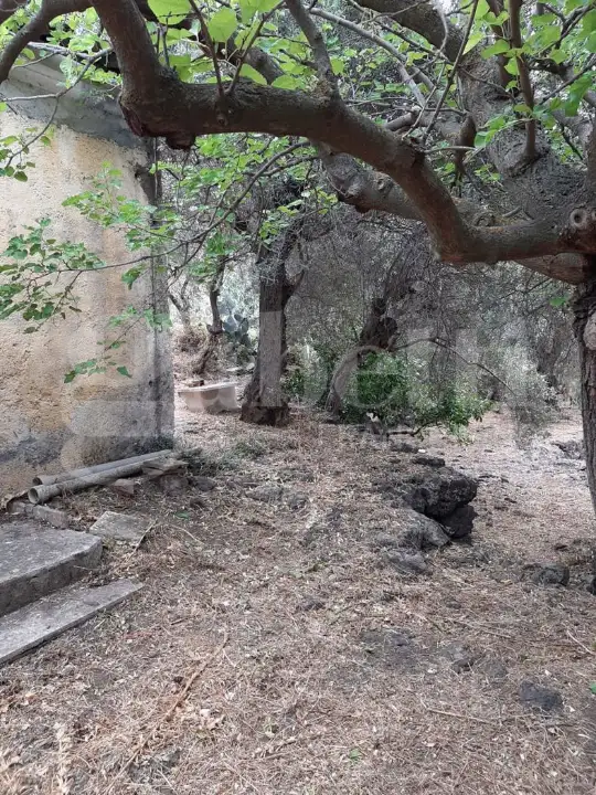 Casa Indipendente - Image 33