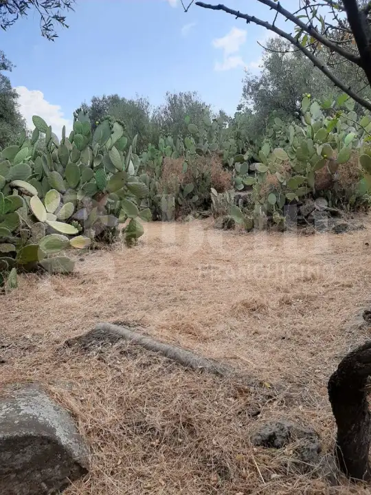 Casa Indipendente - Image 28