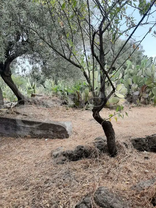 Casa Indipendente - Image 6
