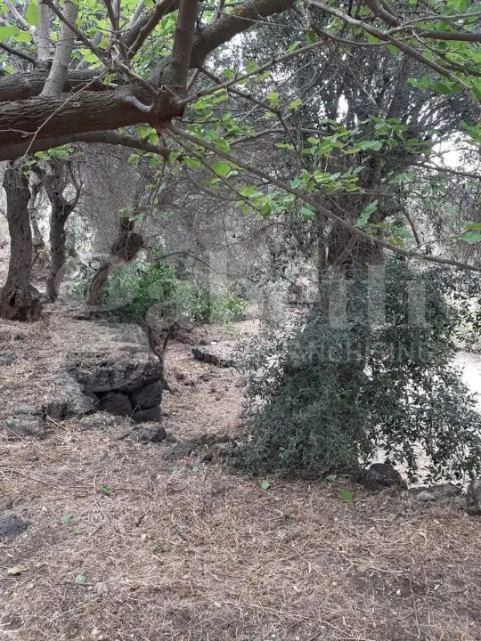 Casa Indipendente - Image 29