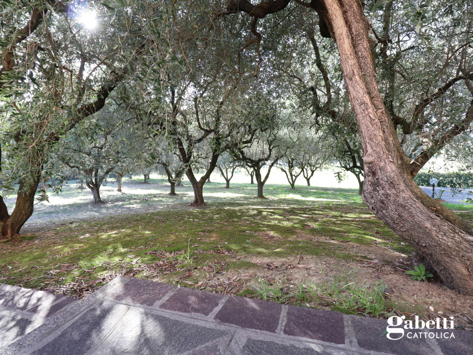 Appartamento - Image 25