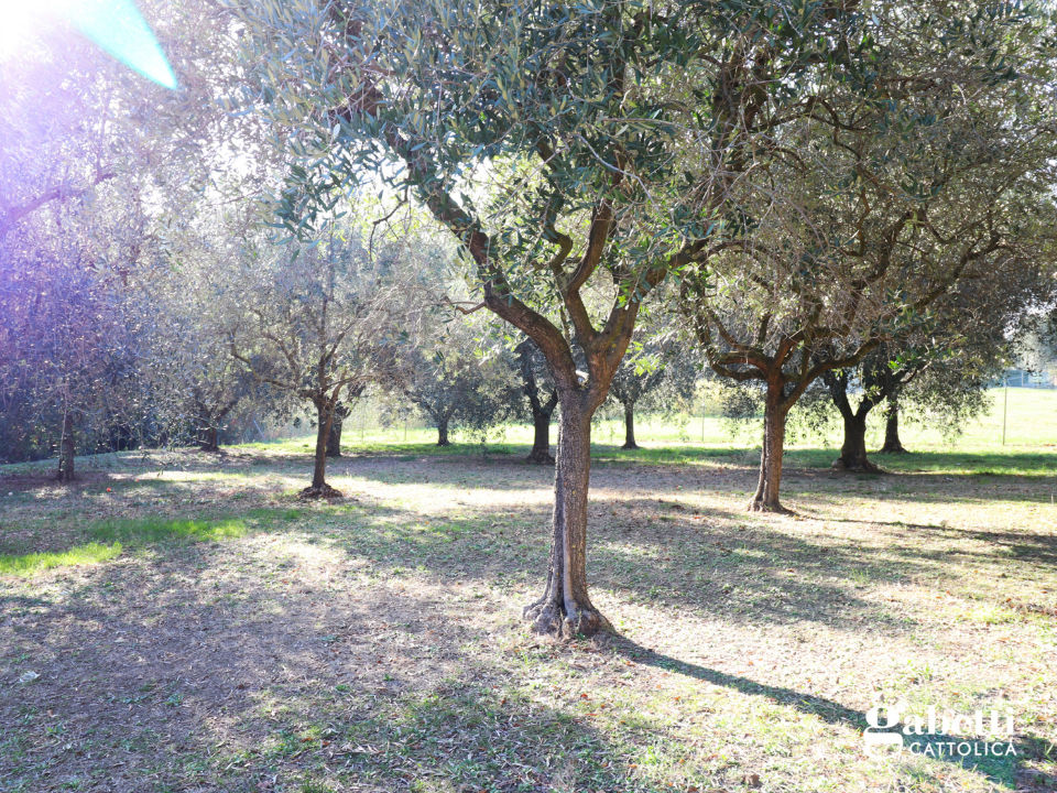 Appartamento - Image 22