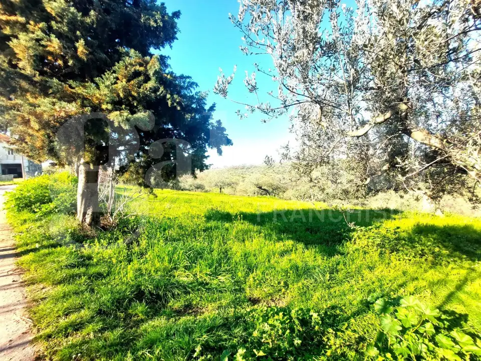 Appartamento - Image 2