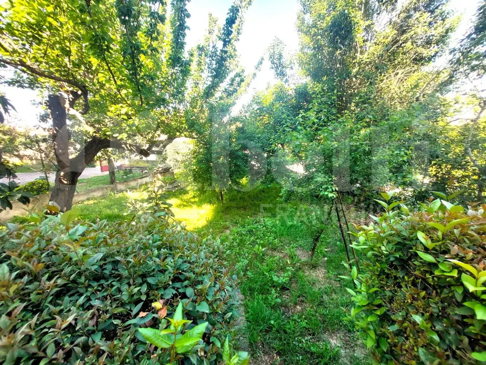 Appartamento - Image 3