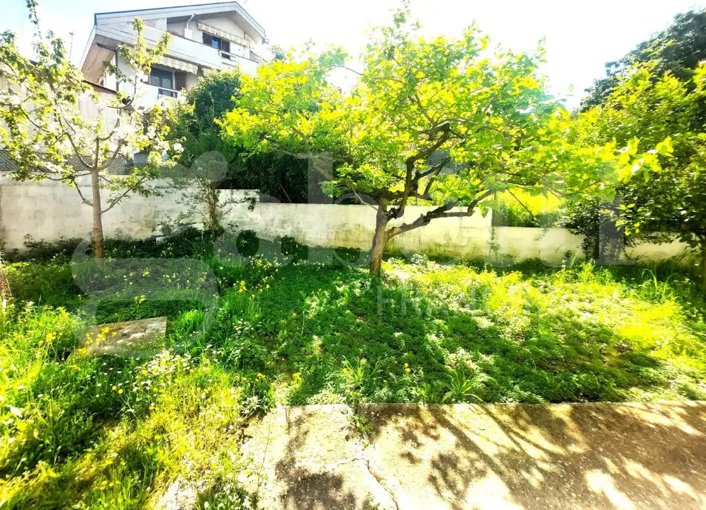 Appartamento - Image 2